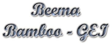 Beemabamboogei.life